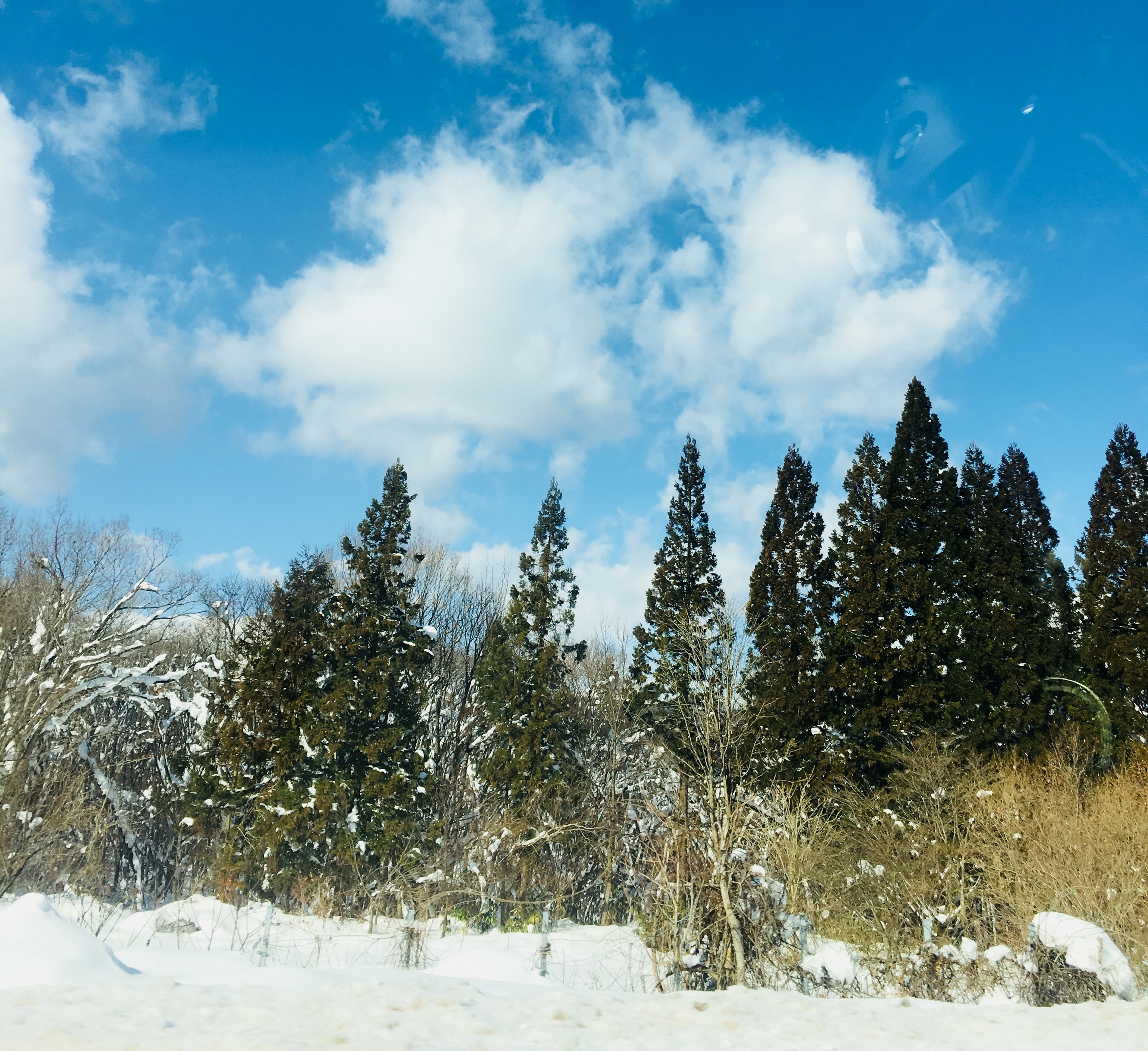 雪山